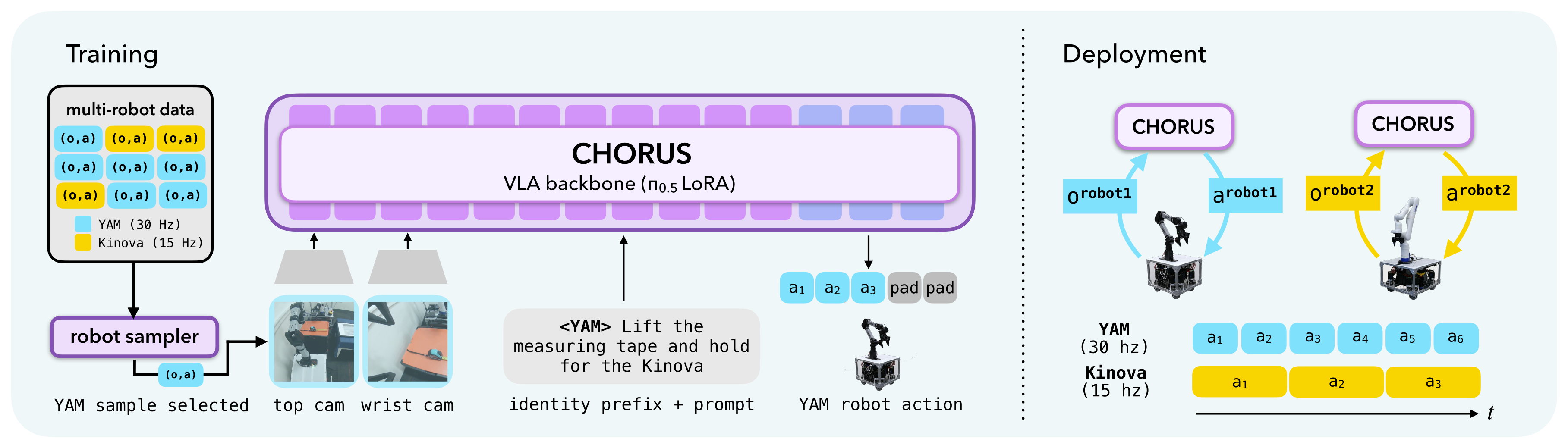 CHORUS training and decentralized deployment.